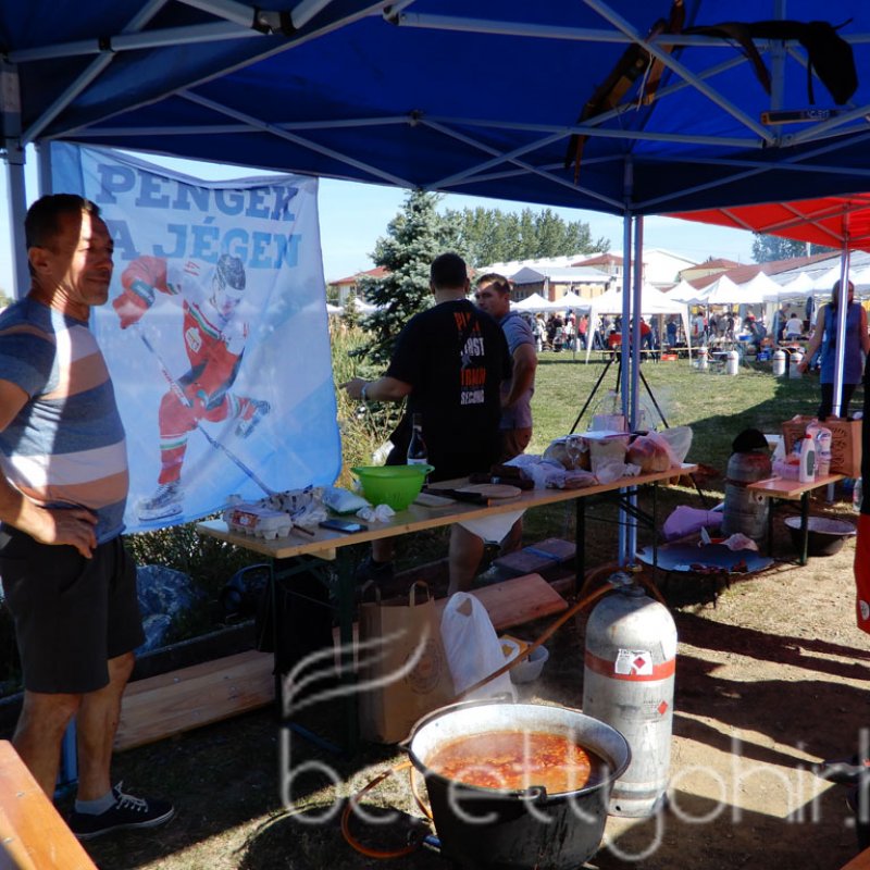 Tájak, házak, ízek fesztivál - 2021 07